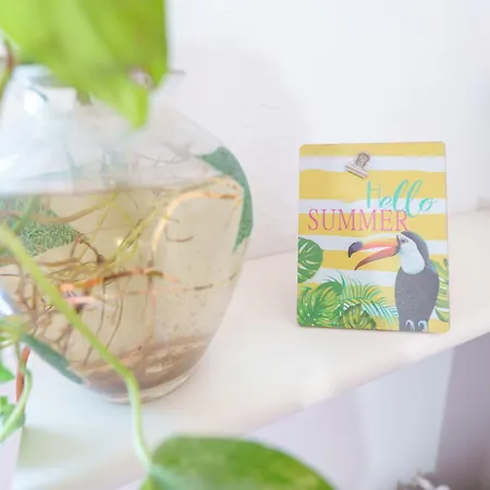 Pothos: Cozy With Modern Amenities Cagliari