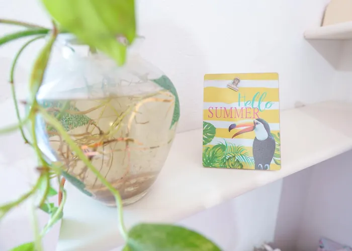 Pothos - Eng Ita - Air Conditioning Wi-fi Fridge Netflix Local Guide - Aria Condizionata, Frigo, Internet, Guida Locale Cagliari